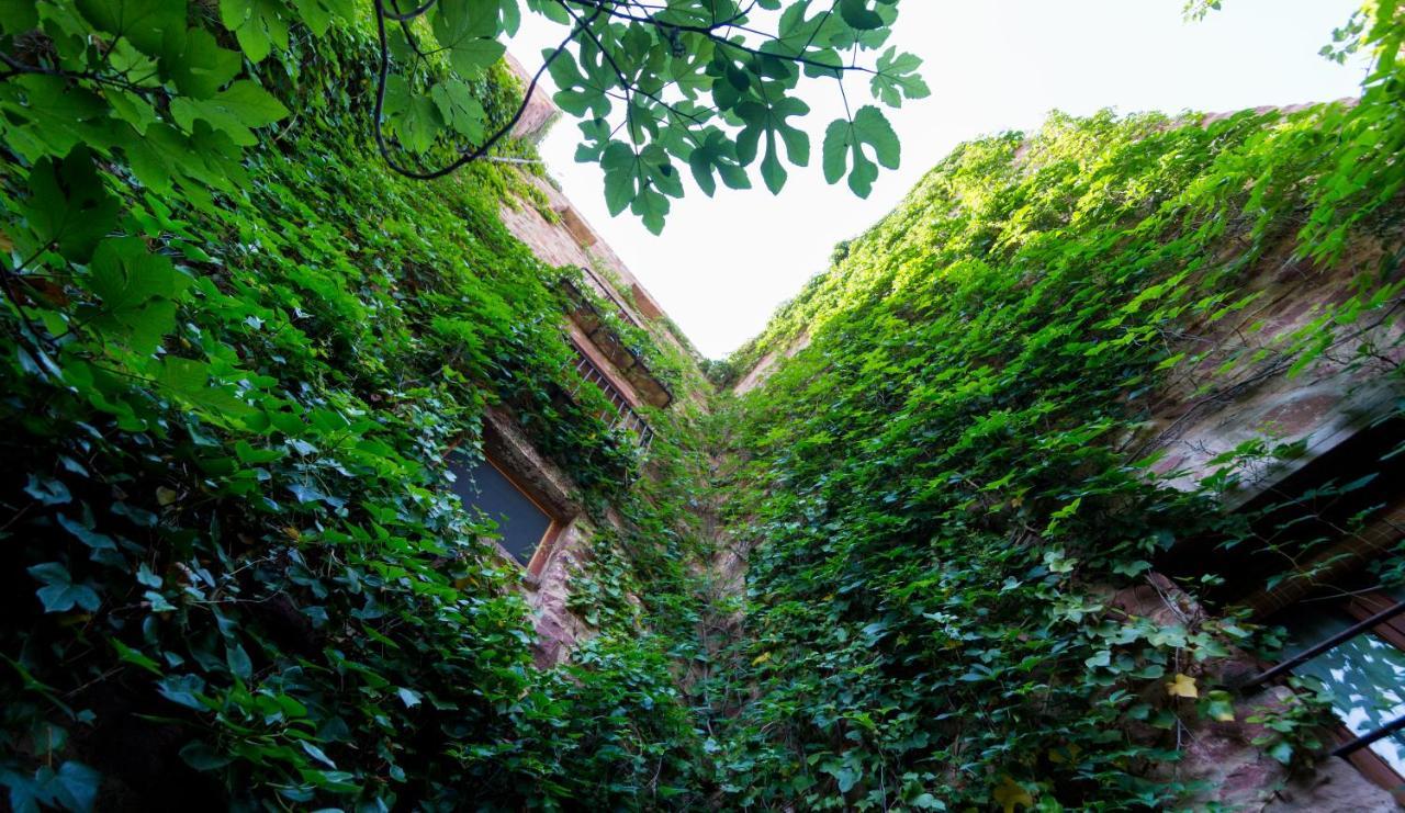 El Jardin Vertical Vilafames Exterior photo