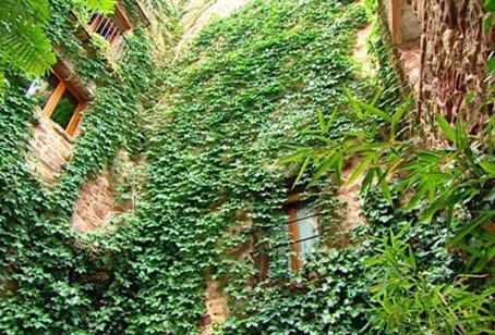 El Jardin Vertical Vilafames Exterior photo